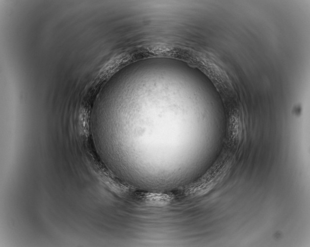 X0000098190234200804241252