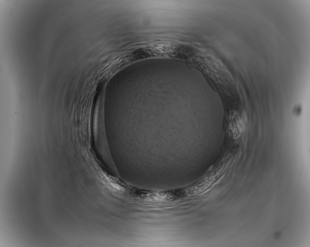 X0000098190235200804241252