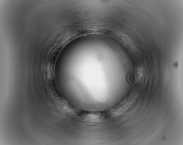 X0000098190236200804241252