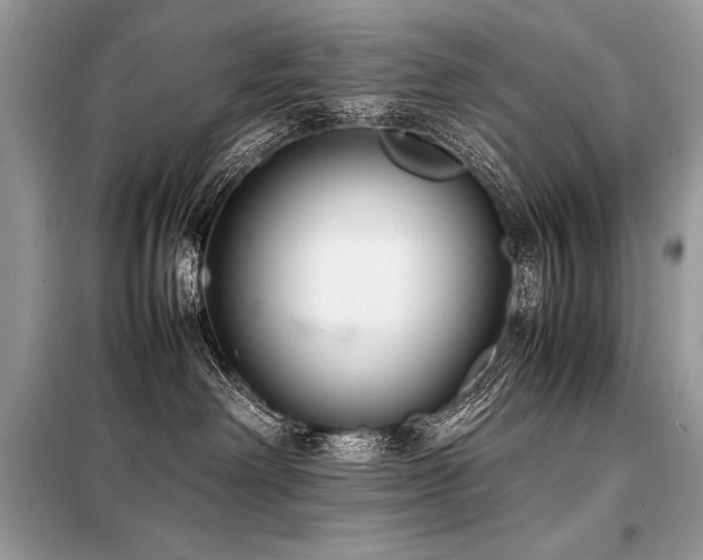 X0000098190238200804241252