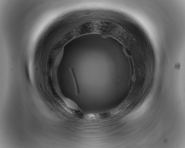 X0000098190239200804241252