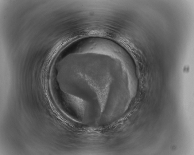X0000098190241200804241251