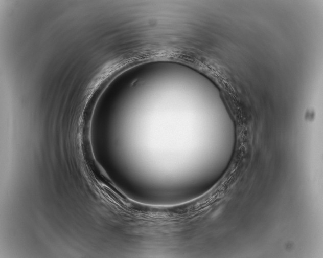 X0000098190242200804241251