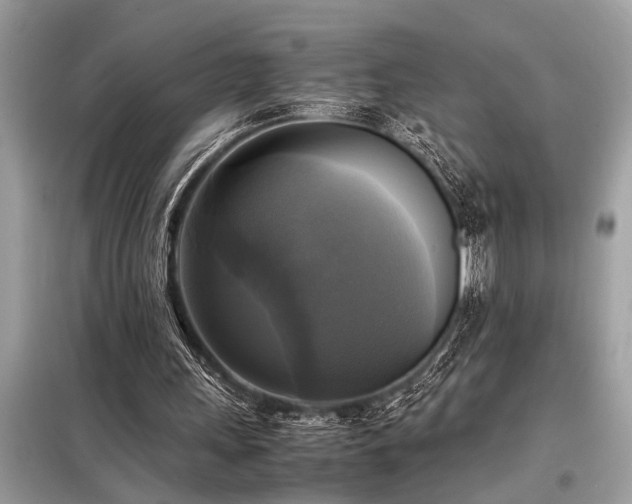 X0000098190243200804241251