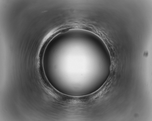 X0000098190246200804241251