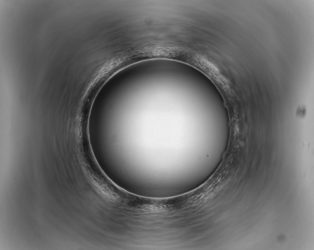 X0000098190250200804241251