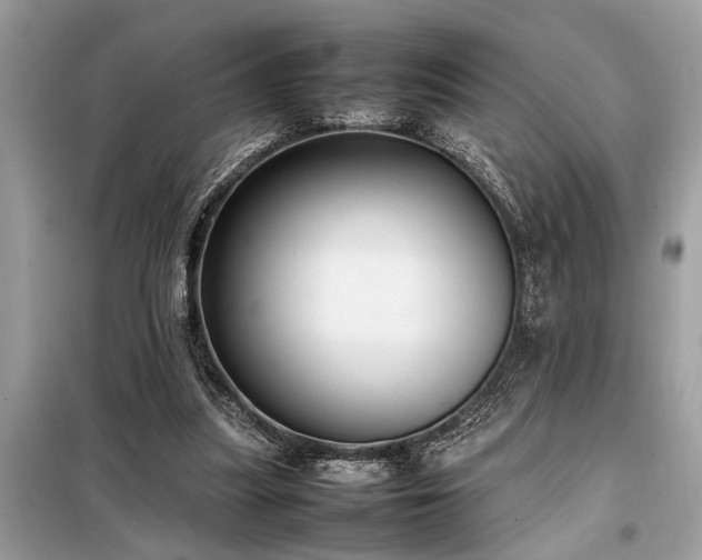X0000098190251200804241251