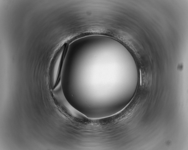 X0000098190252200804241251