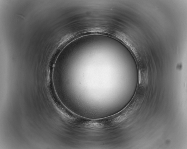 X0000098190253200804241251