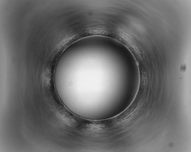 X0000098190255200804241251