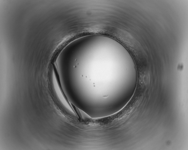 X0000098190256200804241251