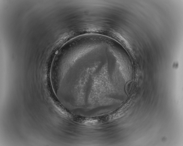 X0000098190257200804241251
