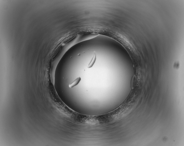 X0000098190258200804241251