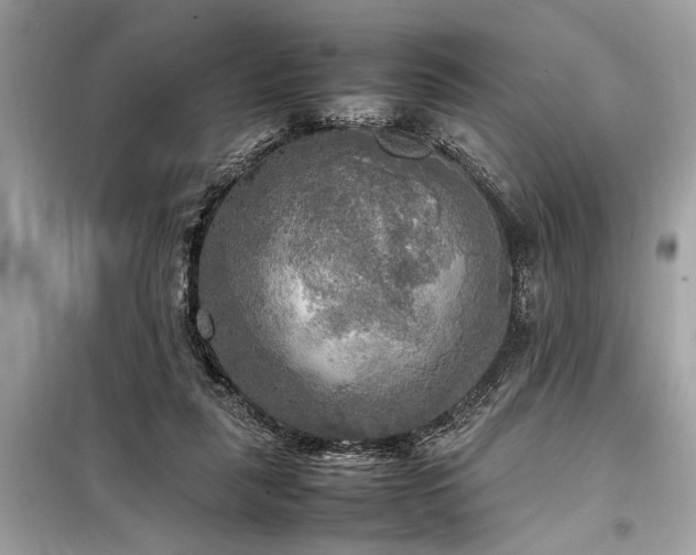 X0000098190259200804241251