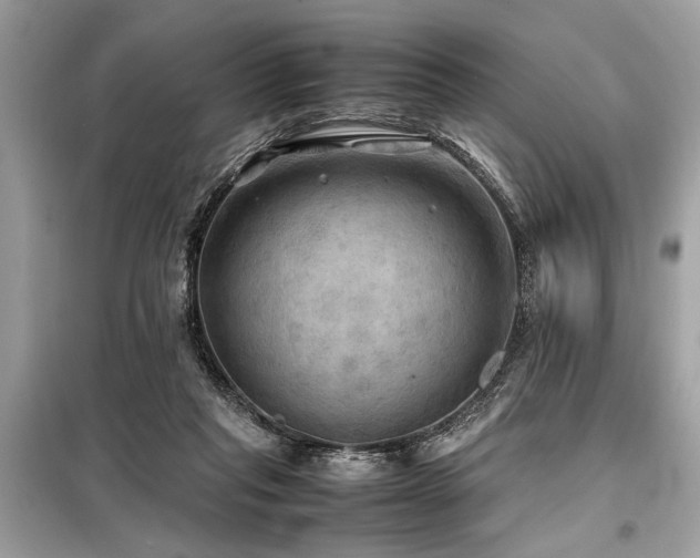 X0000098190261200804241252