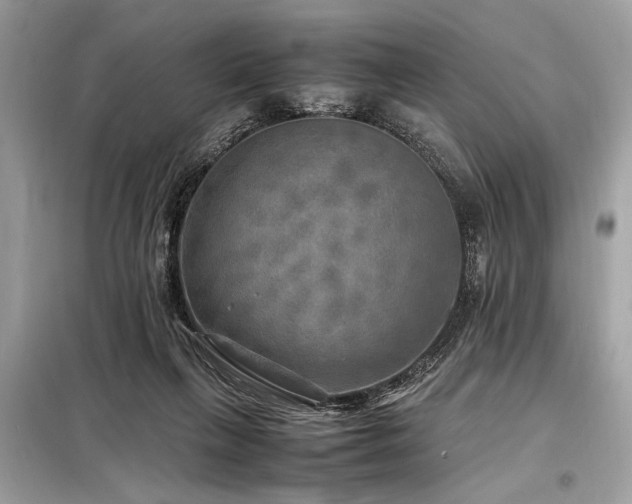 X0000098190263200804241252