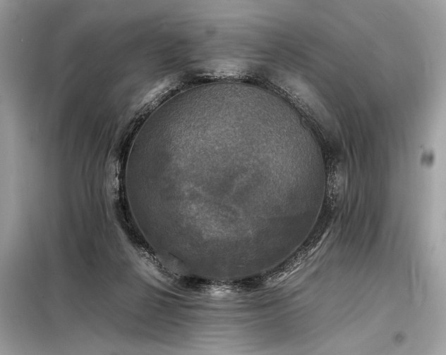 X0000098190264200804241252