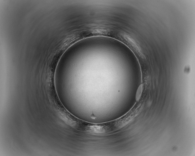 X0000098190265200804241252
