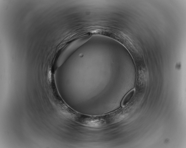 X0000098190267200804241252