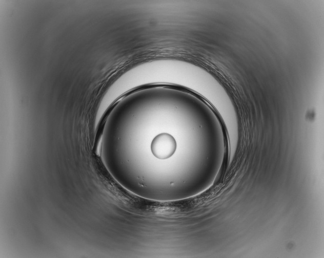 X0000098190268200804241252