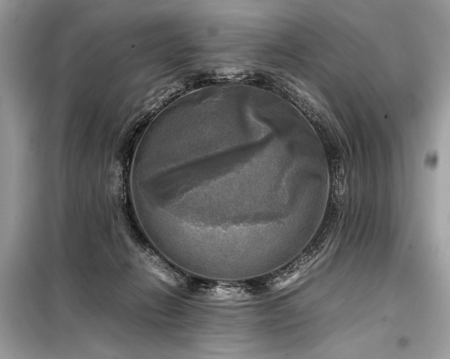 X0000098190270200804241252