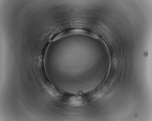 X0000098190271200804241252