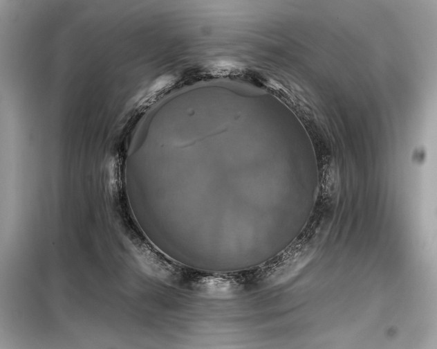 X0000098190272200804241252