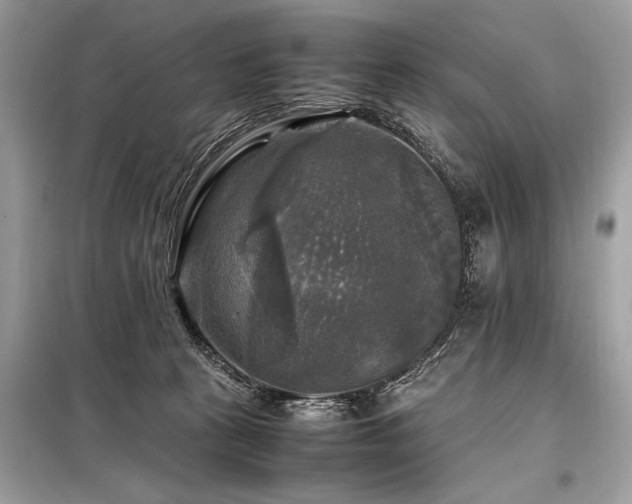 X0000098190273200804241252