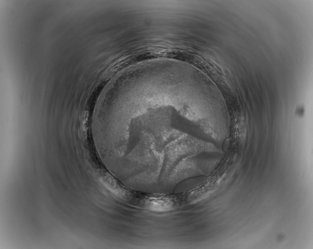 X0000098190275200804241252