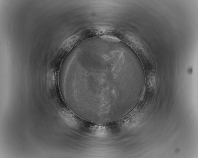 X0000098190276200804241252