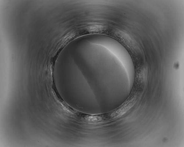 X0000098190277200804241252