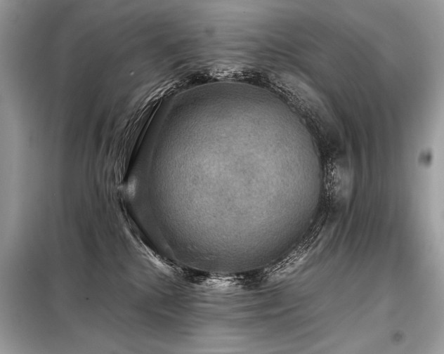 X0000098190280200804241252
