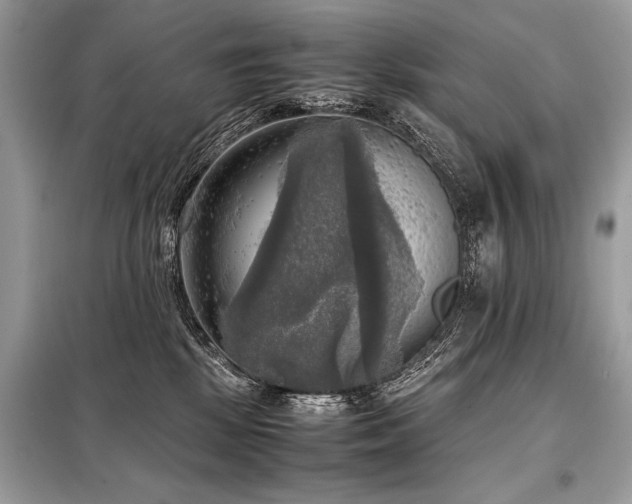 X0000098190281200804241252