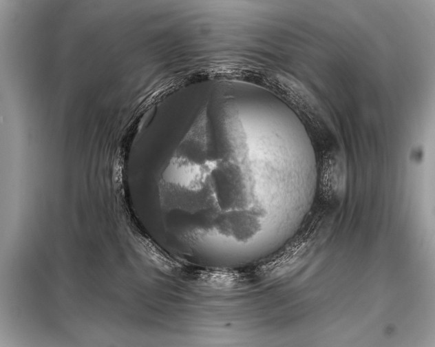 X0000098190282200804241252