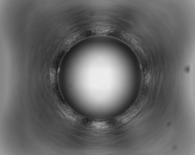 X0000098190283200804241252