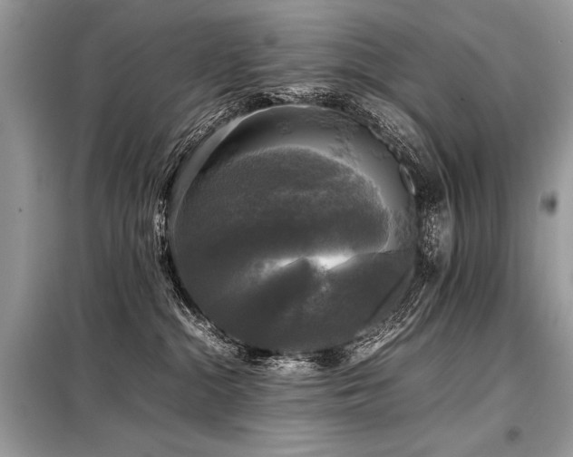 X0000098190284200804241252
