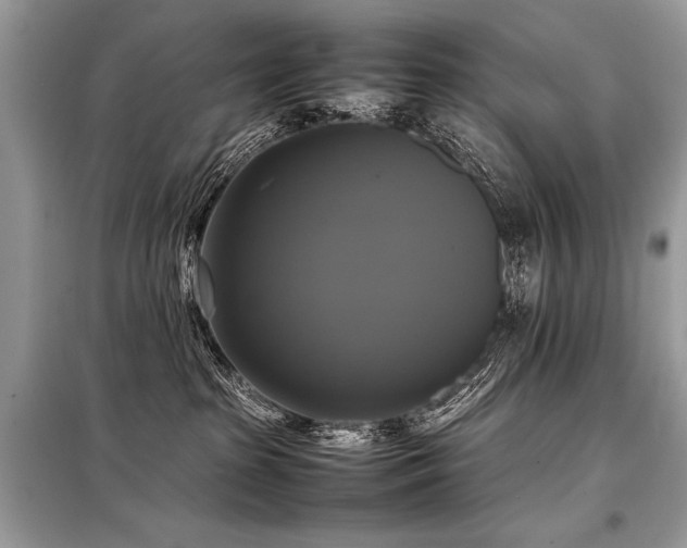 X0000098190285200804241252
