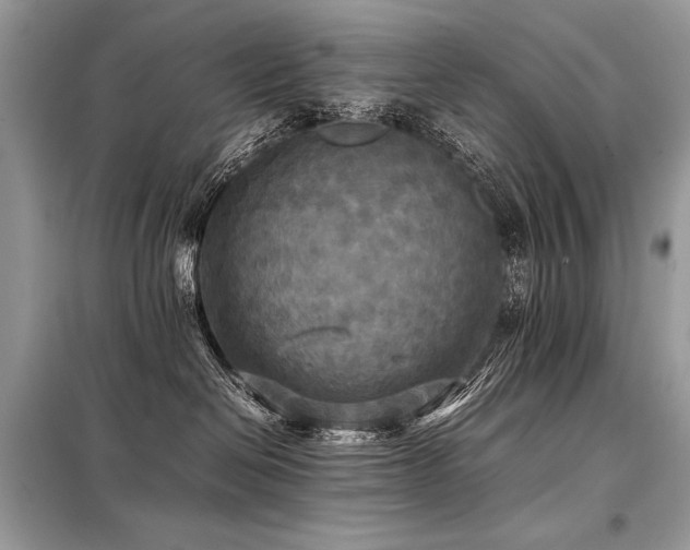 X0000098190286200804241252