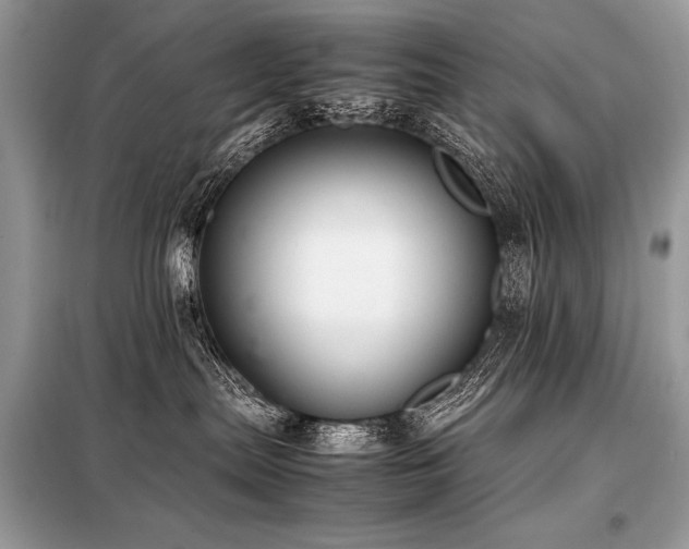 X0000098190287200804241252