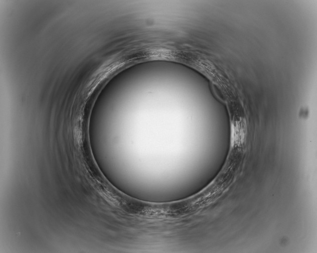 X0000098190291200804241251