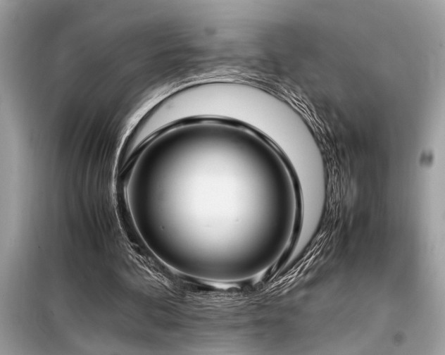 X0000098190292200804241251