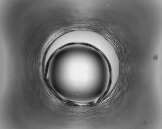 X0000098190293200804241251