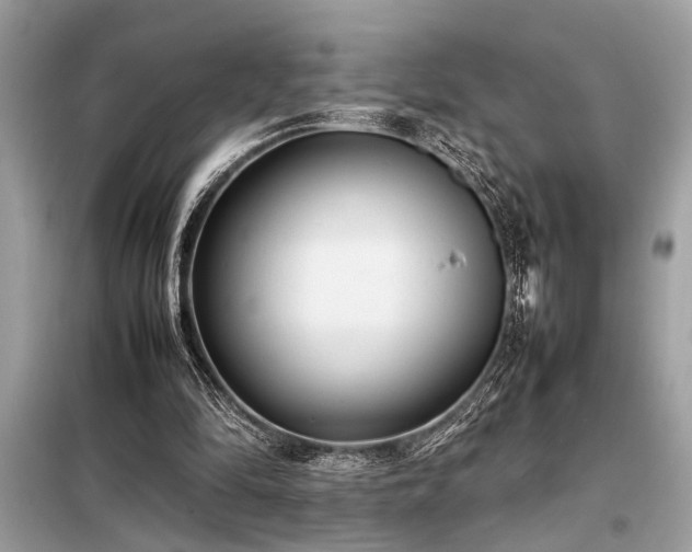 X0000098190294200804241251