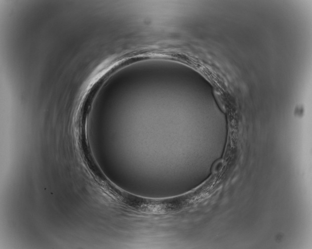 X0000098190295200804241251