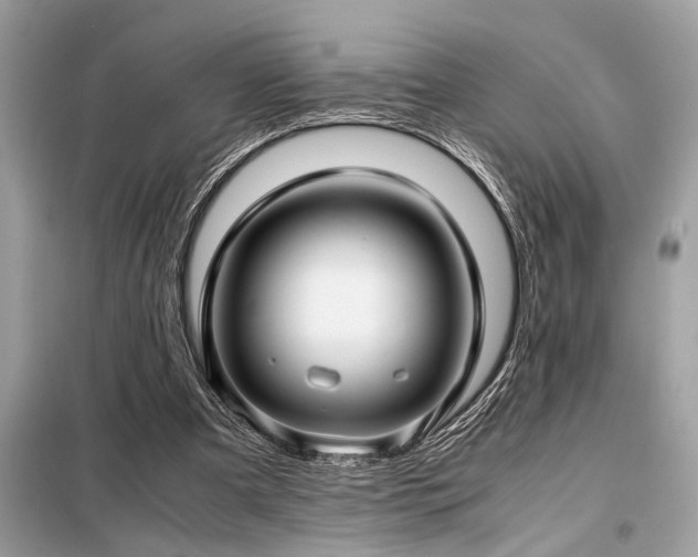X0000098190297200804241251