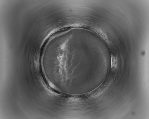 X0000098190300200804241251