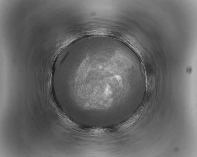 X0000098190301200804241251