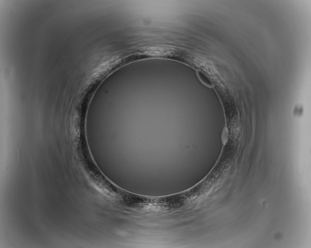 X0000098190303200804241251