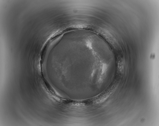 X0000098190304200804241251