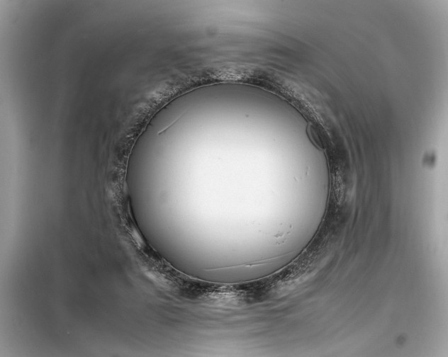 X0000098190307200804241251